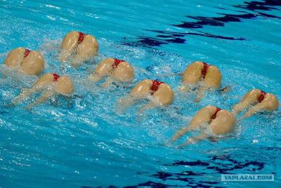 Прикрепленное изображение: image.jpg